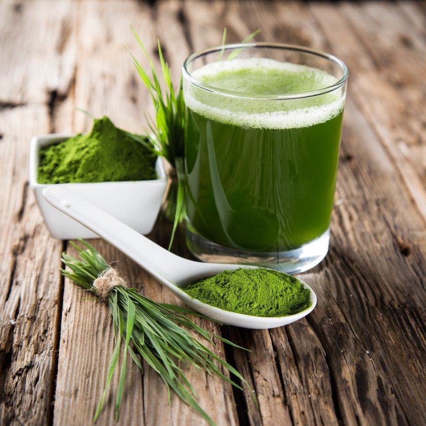 Spirulina: A Superfood for Health and Wellness