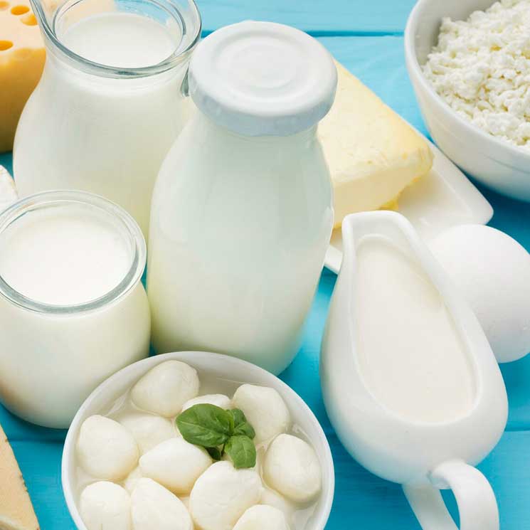 Understanding Fermented Dairy Products: Benefits and Recommendations