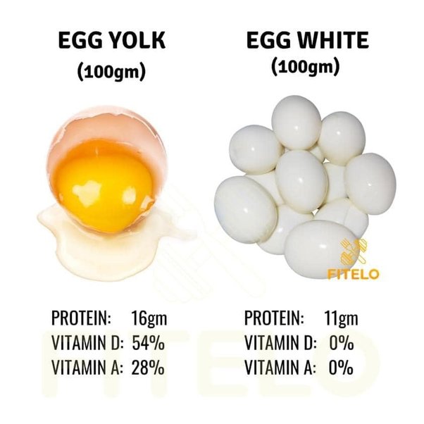 Nutritional Benefits of Egg