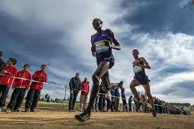 Cross Internacional de Itálica